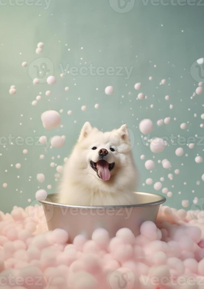 linda Samoyedo perro en un pequeño bañera con jabón espuma y burbujas, linda pastel colores, generativo ai. foto