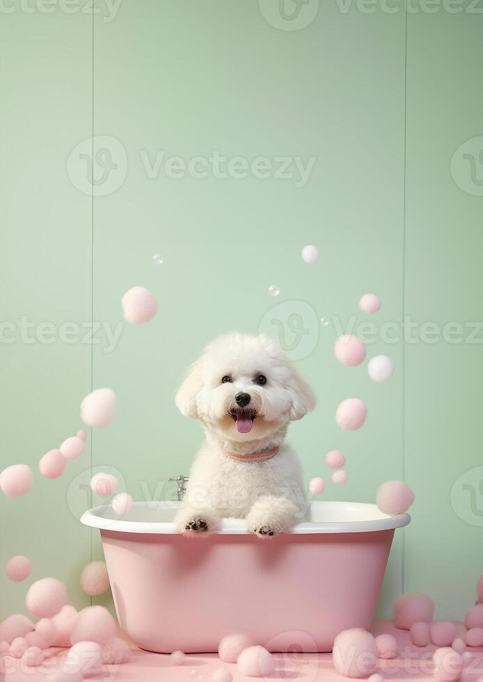 Cute Bichon Frise dog in a small bathtub with soap foam and bubbles, cute pastel colors, . photo