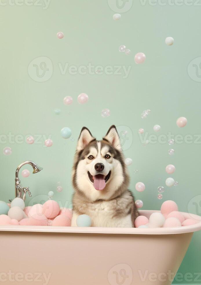 linda Alaska malamute perro en un pequeño bañera con jabón espuma y burbujas, linda pastel colores, generativo ai. foto