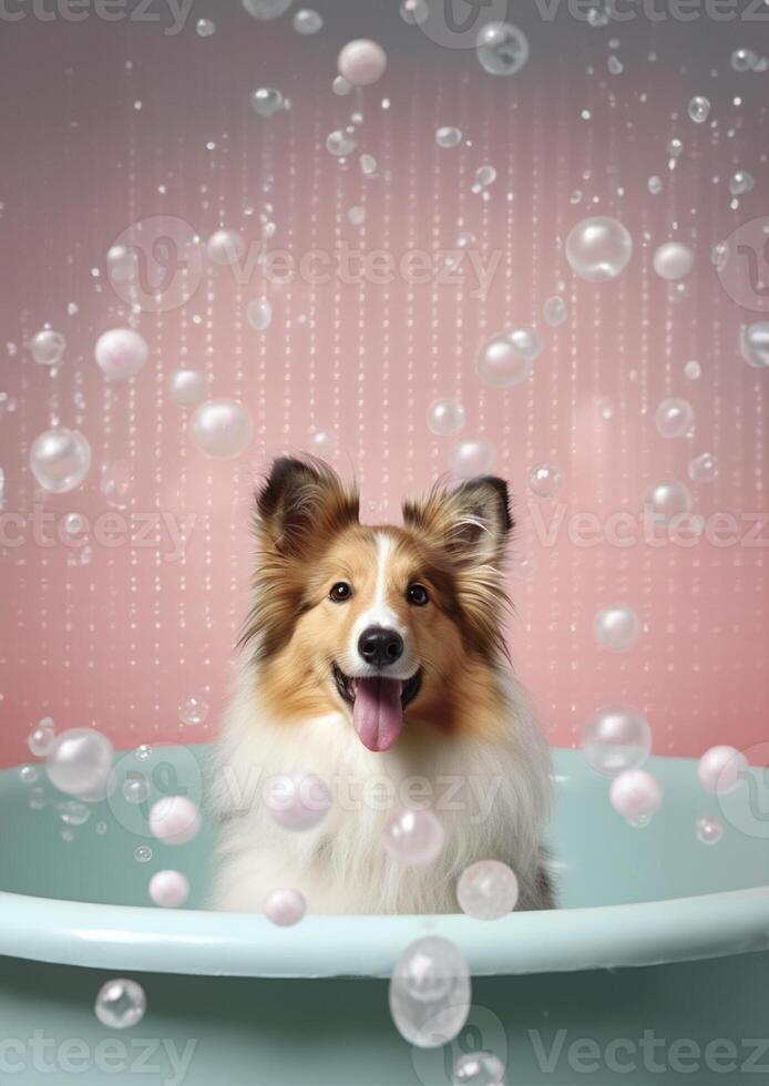 linda Shetland perro pastor perro en un pequeño bañera con jabón espuma y burbujas, linda pastel colores, generativo ai. foto