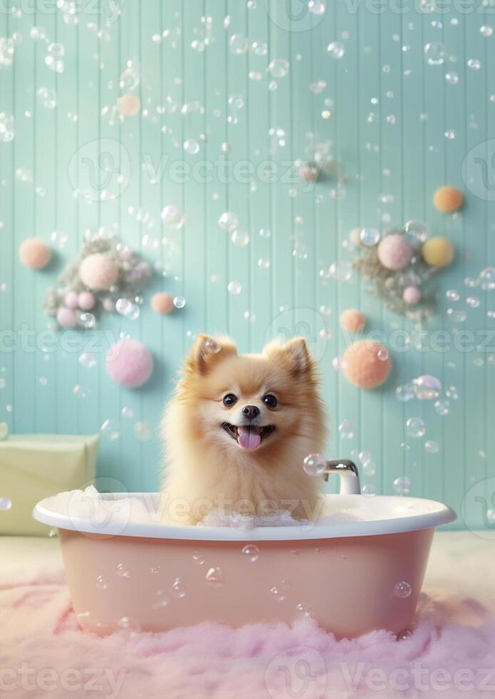 Cute pomeranian dog in a small bathtub with soap foam and bubbles, cute pastel colors, . photo