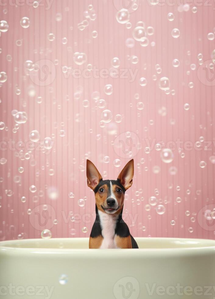 linda basenji perro en un pequeño bañera con jabón espuma y burbujas, linda pastel colores, generativo ai. foto