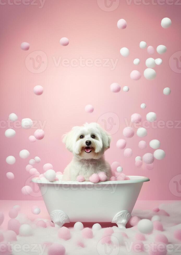 Cute maltese dog in a small bathtub with soap foam and bubbles, cute pastel colors, . photo