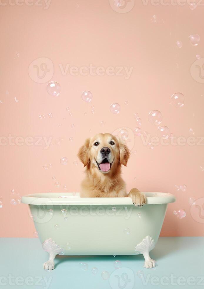 Cute golden retriever dog in a small bathtub with soap foam and bubbles, cute pastel colors, . photo