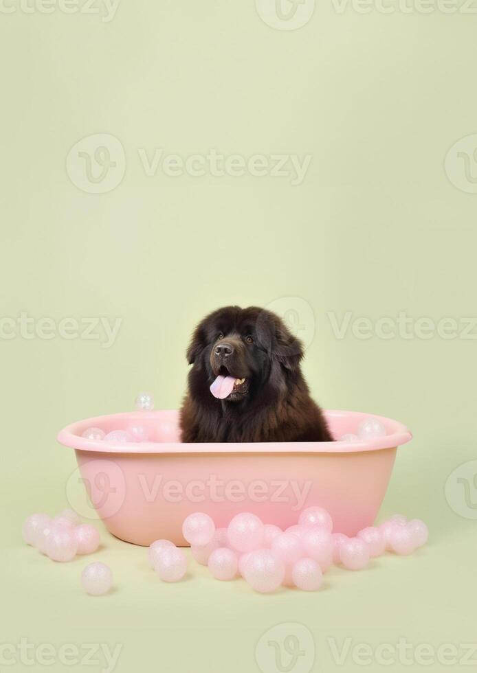 linda Terranova perro en un pequeño bañera con jabón espuma y burbujas, linda pastel colores, generativo ai. foto