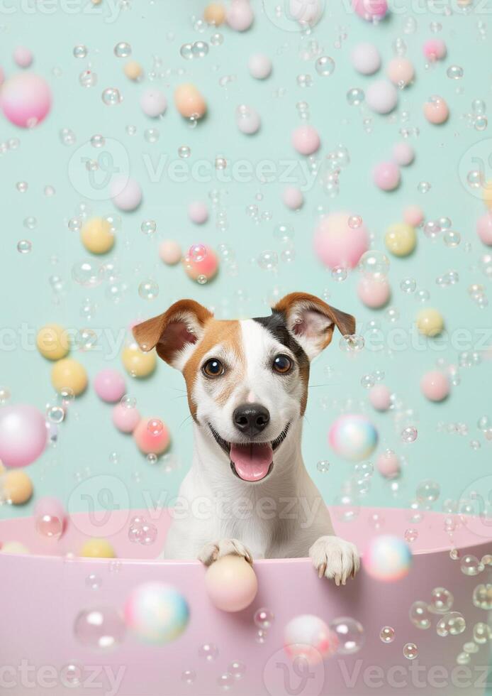 linda Jack Russell terrier perro en un pequeño bañera con jabón espuma y burbujas, linda pastel colores, generativo ai. foto