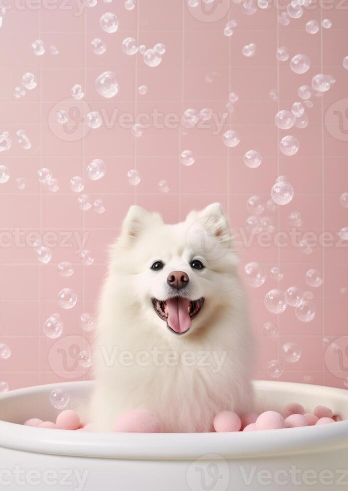 linda americano esquimal perro en un pequeño bañera con jabón espuma y burbujas, linda pastel colores, generativo ai. foto