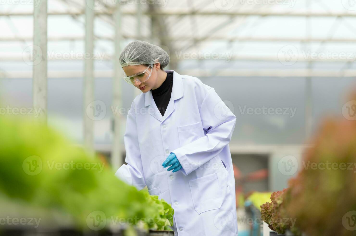 científicos son conductible investigación y desarrollo en el cultivo de orgánico vegetales en un cerrado granja. foto
