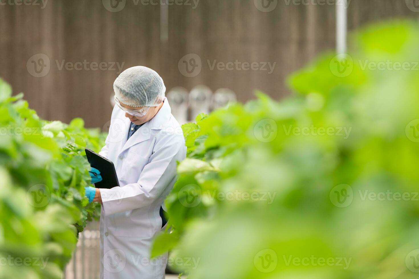 científicos son examinando el crecimiento de fresas crecido con científico tecnología en un cerrado fresa jardín foto