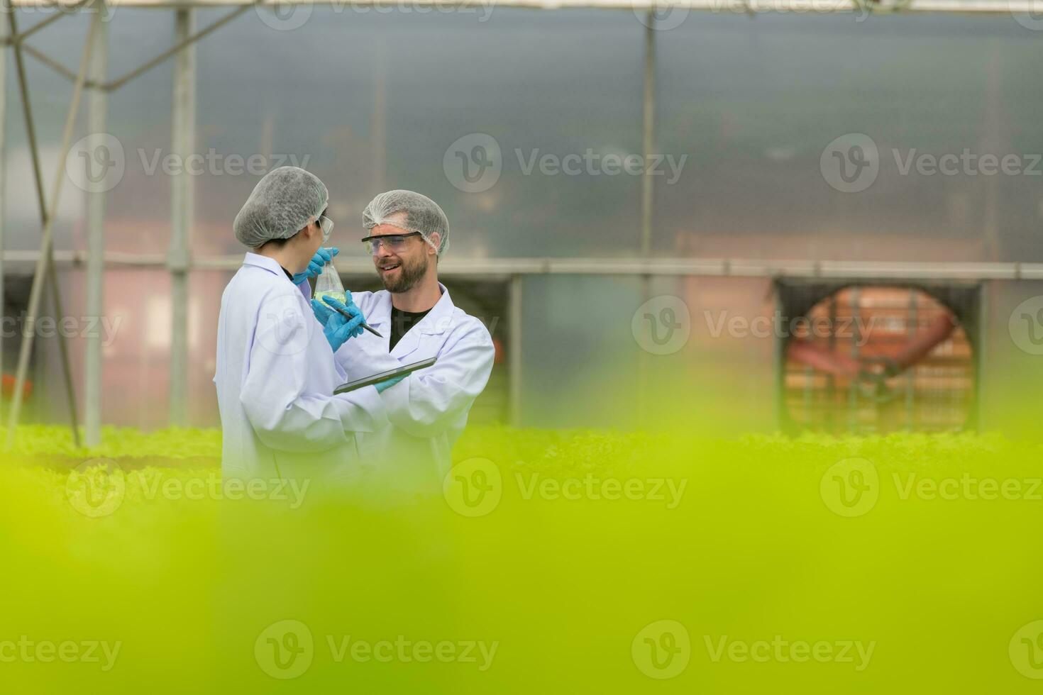 científicos son conductible investigación y desarrollo en el cultivo de orgánico vegetales en un cerrado granja. foto