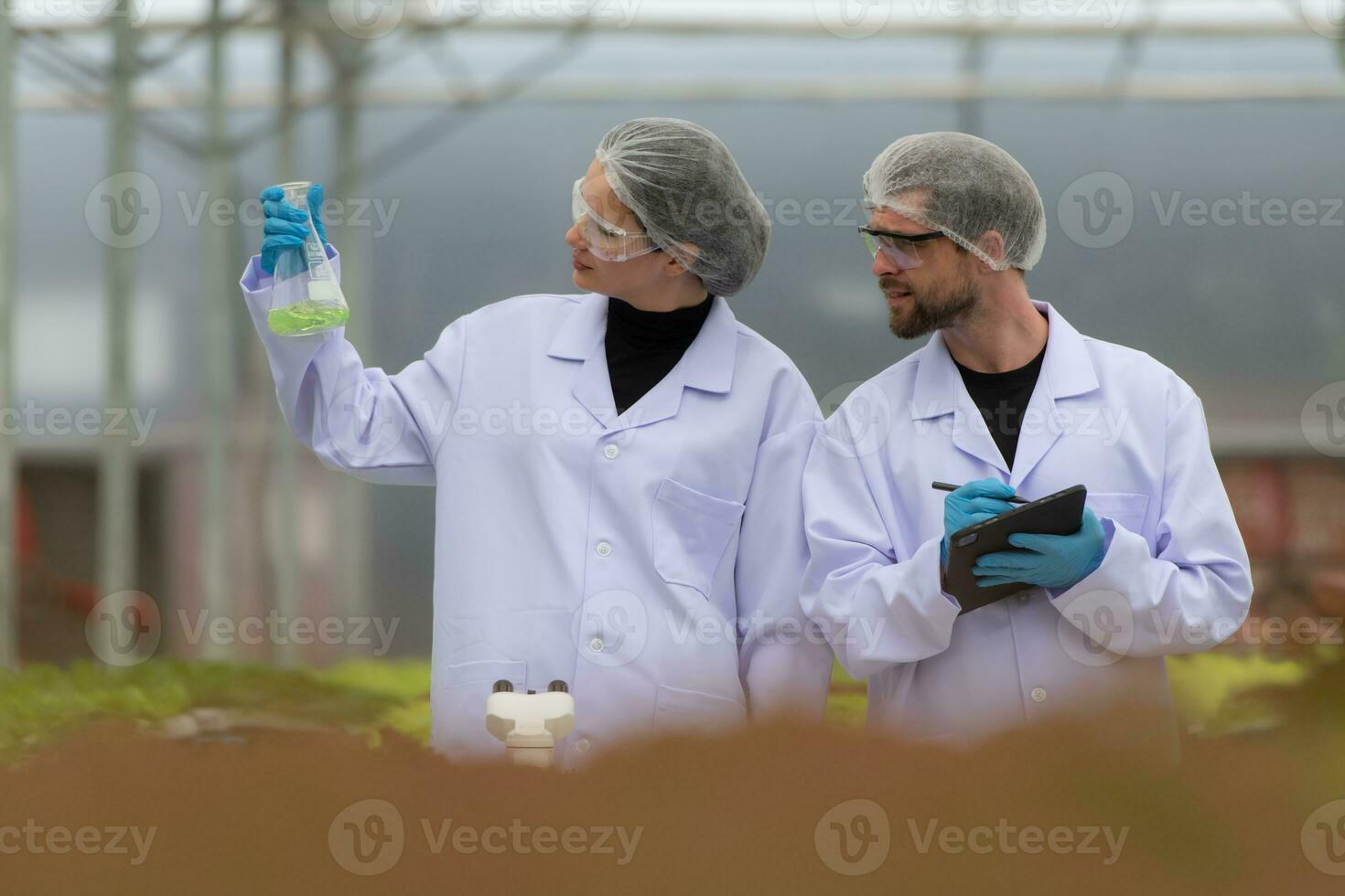 Scientists are conducting research and development on the cultivation of organic vegetables in a closed farm. photo