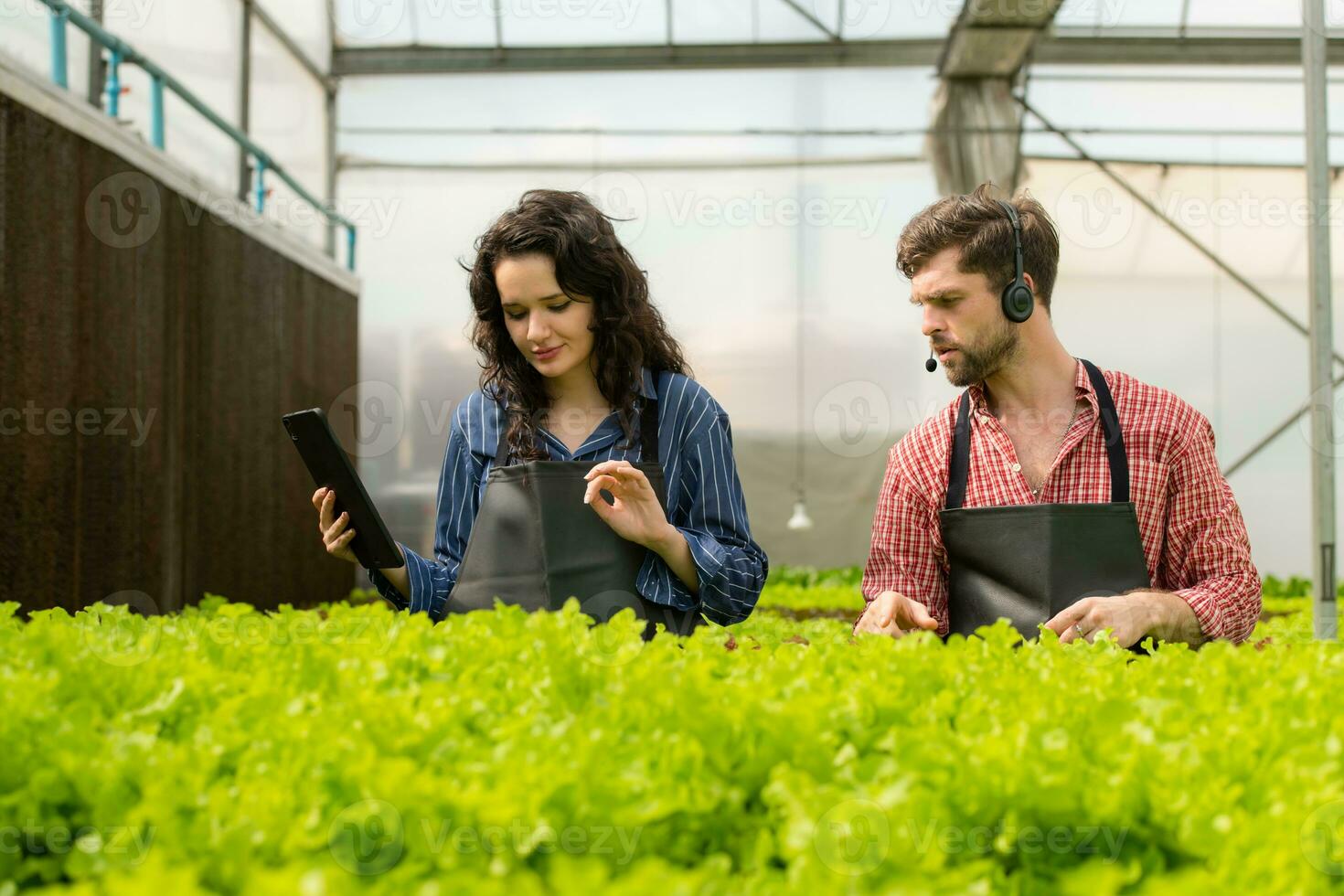 Two small businesspeople organic vegetable garden owner currently introducing customers and showing them his organic vegetable garden via online system. photo