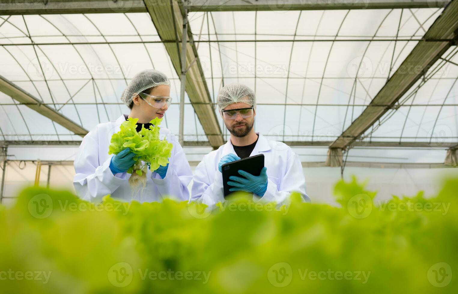 Scientists are conducting research and development on the cultivation of organic vegetables in a closed farm. photo