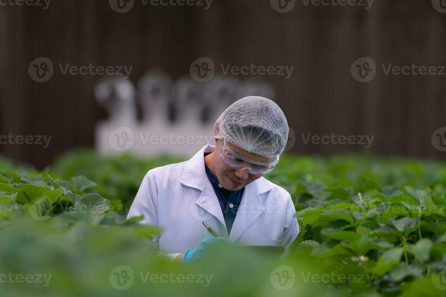 científicos son examinando el crecimiento de fresas crecido con científico tecnología en un cerrado fresa jardín foto