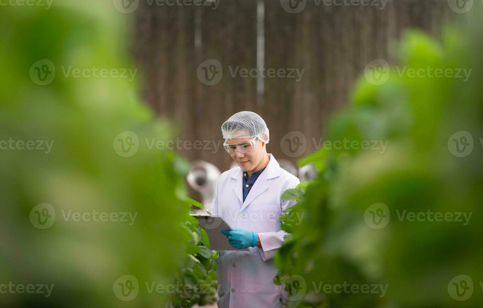 científicos son examinando el crecimiento de fresas crecido con científico tecnología en un cerrado fresa jardín foto