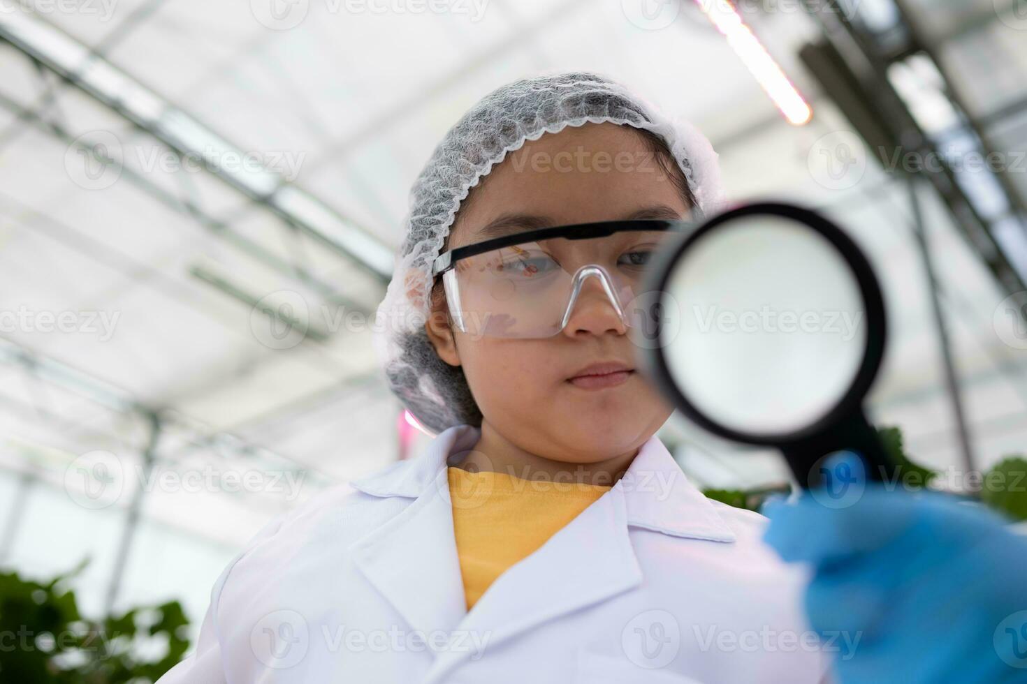 In the closed strawberry garden, a young scientist conducts a strawberry nutrient production experiment with her science class. photo