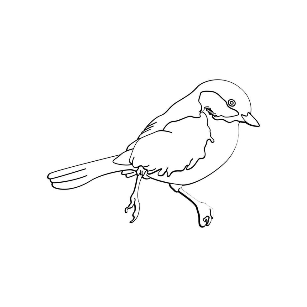 Bird outline vector for coloring book and tattoo design. Bird line art. Bird vector illustration. Bird outline. Bird line art. Hand drawn bird.