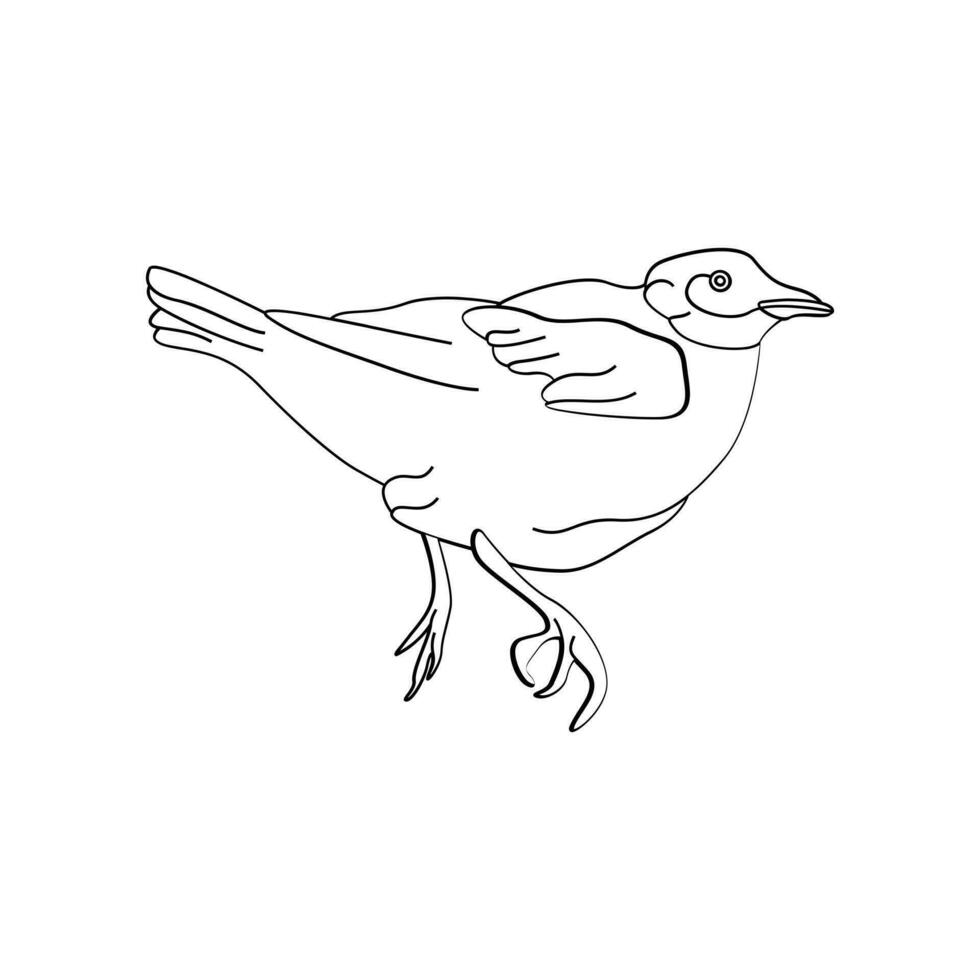 Bird outline vector for coloring book and tattoo design. Bird line art. Bird vector illustration. Bird outline. Bird line art. Hand drawn bird.