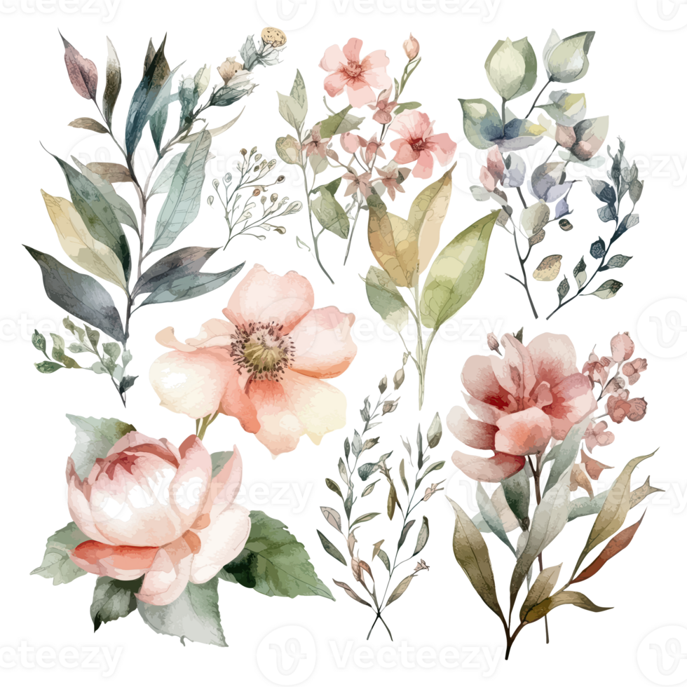 Set of watercolor flowers leaves and twigs on a white background png