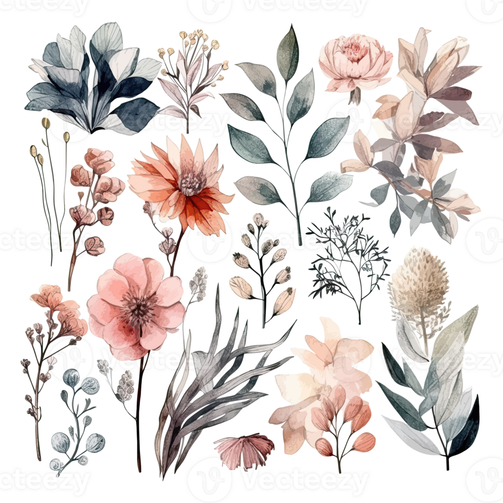 Set of watercolor flowers leaves and twigs on a white background png