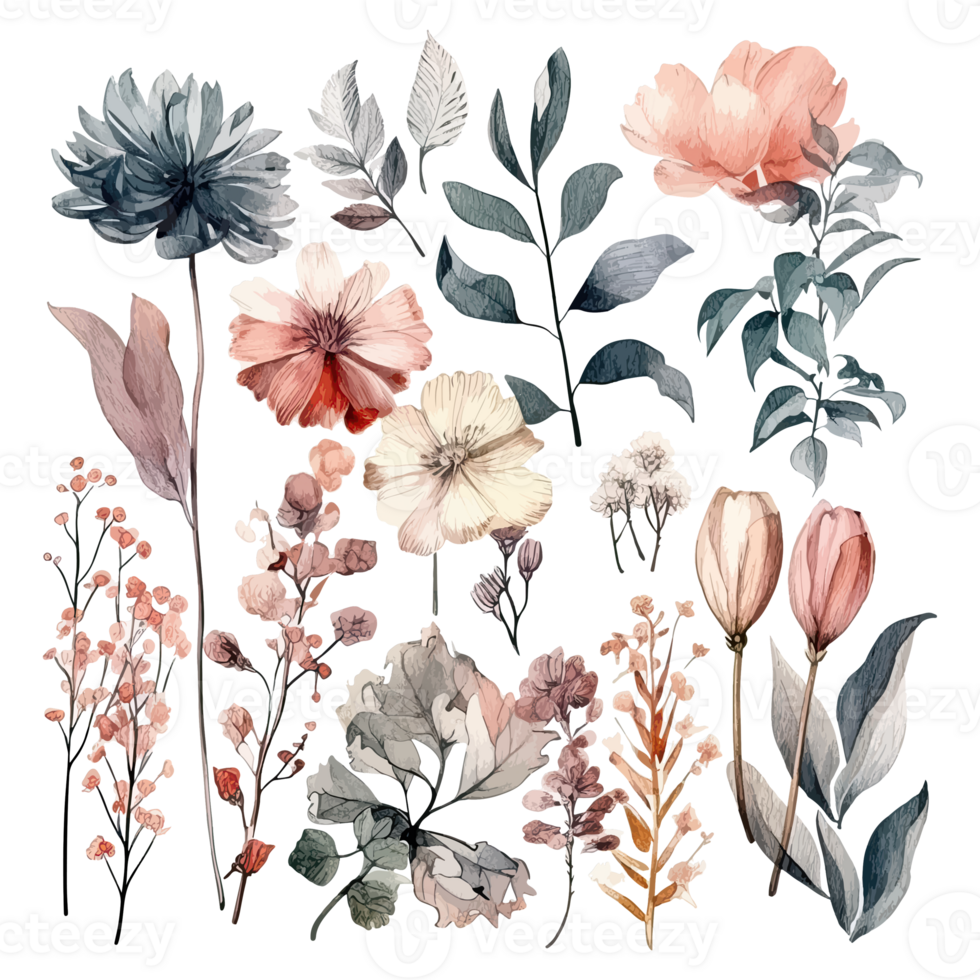 Set of watercolor flowers leaves and twigs on a white background png