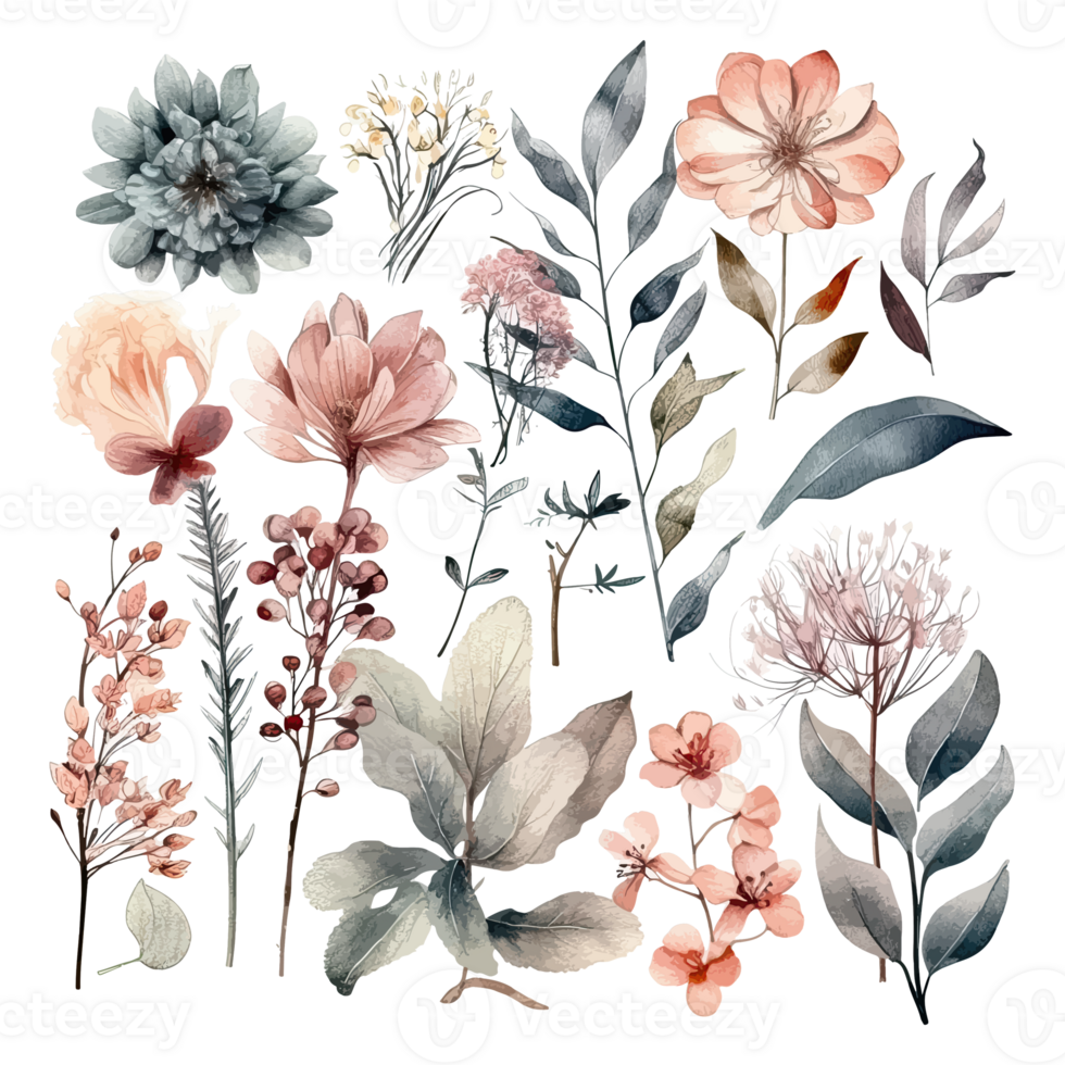 Set of watercolor flowers leaves and twigs on a white background png