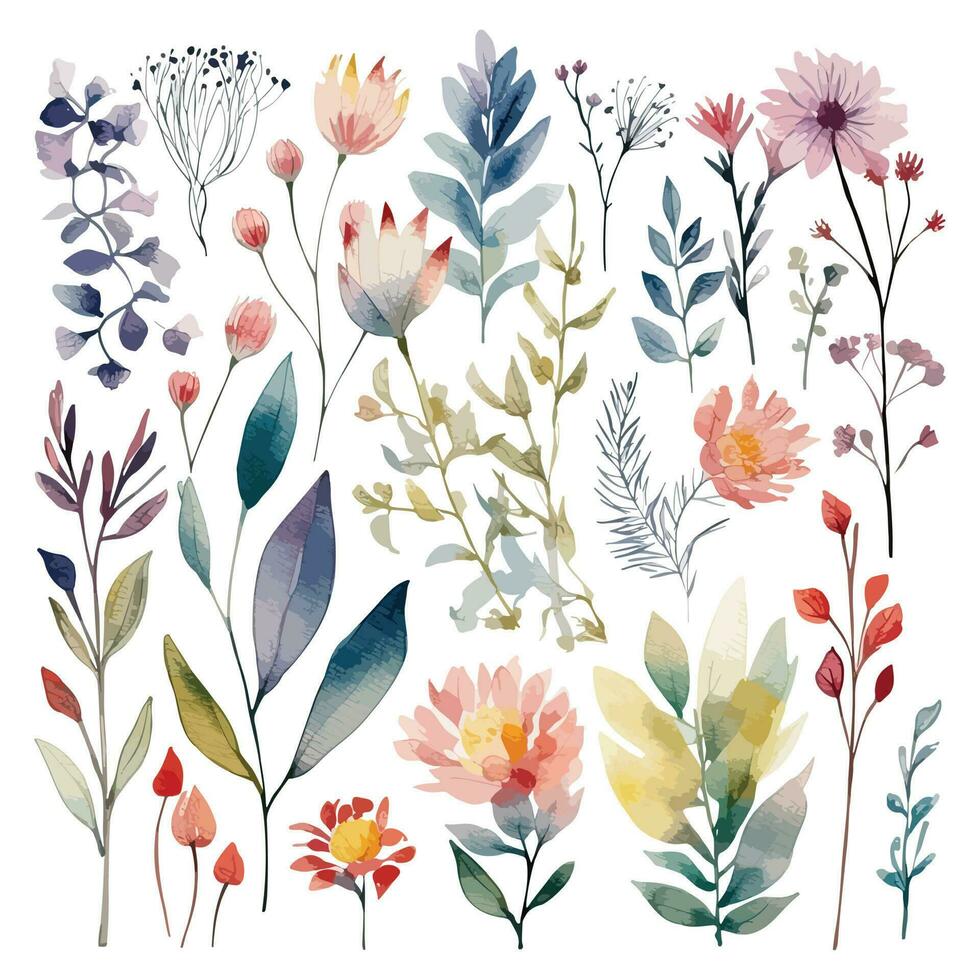 Set of watercolor flowers leaves and twigs on a white background vector