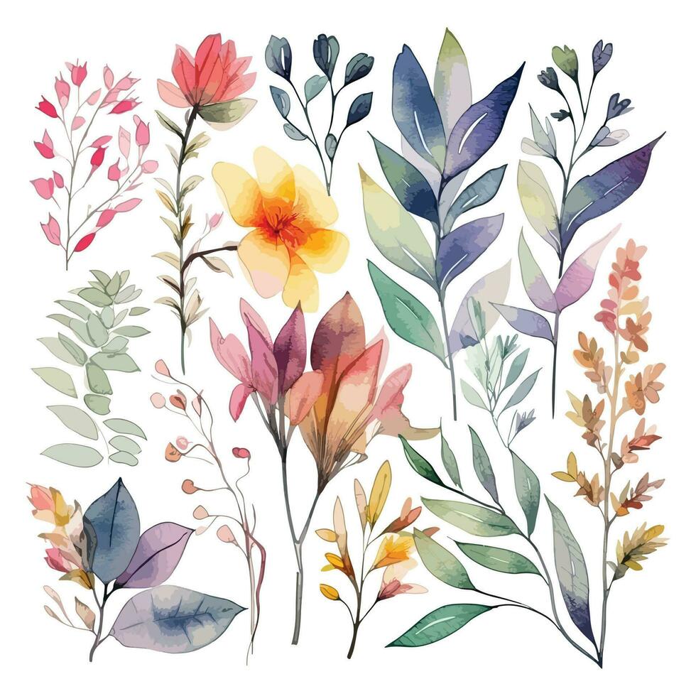 Set of watercolor flowers leaves and twigs on a white background vector