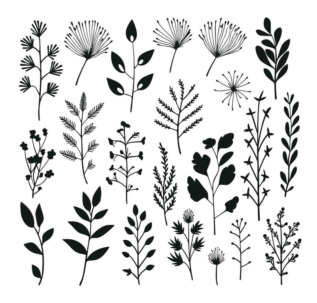 beautiful flowers leaves and twigs vector