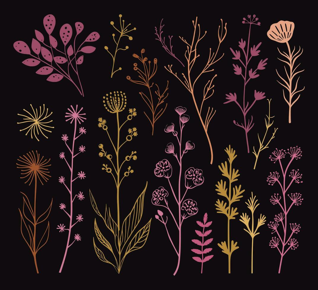 beautiful flowers leaves and twigs vector