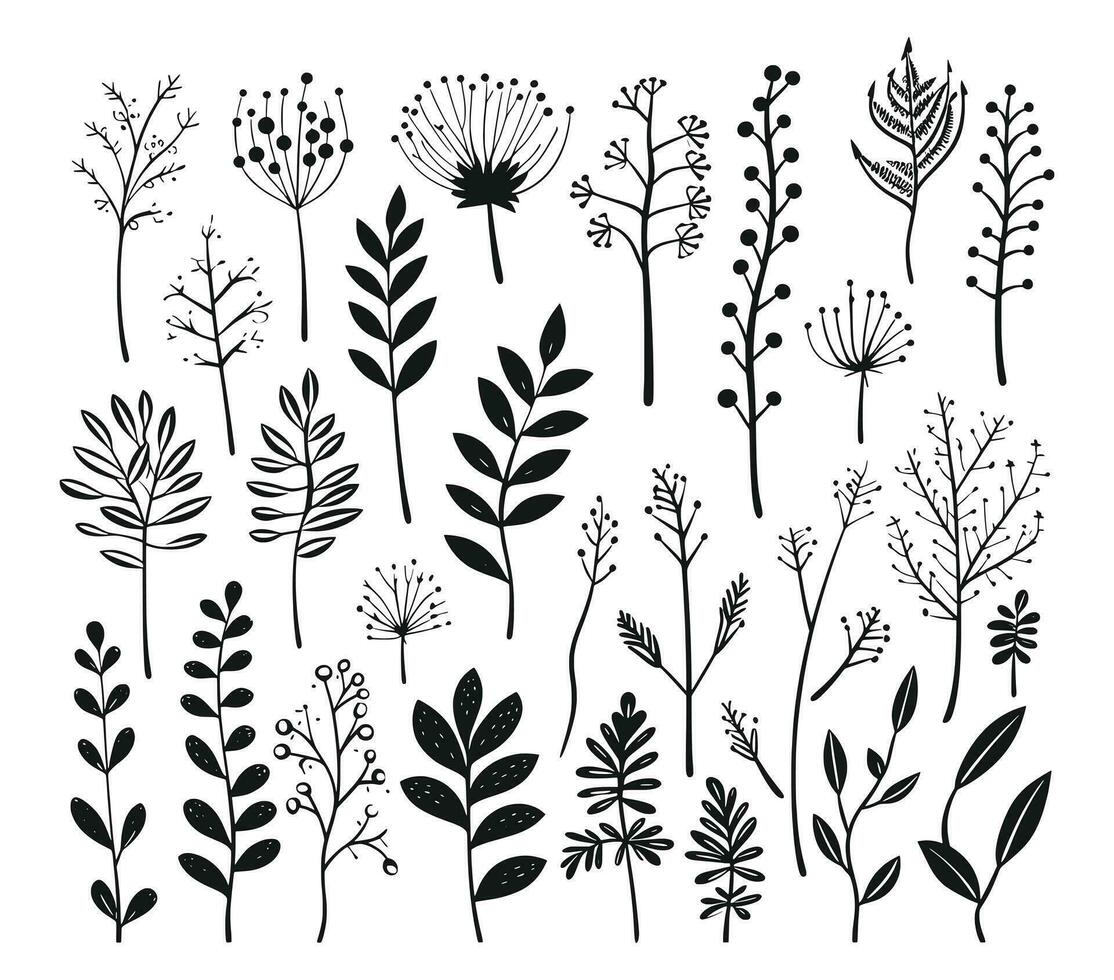 beautiful flowers leaves and twigs vector