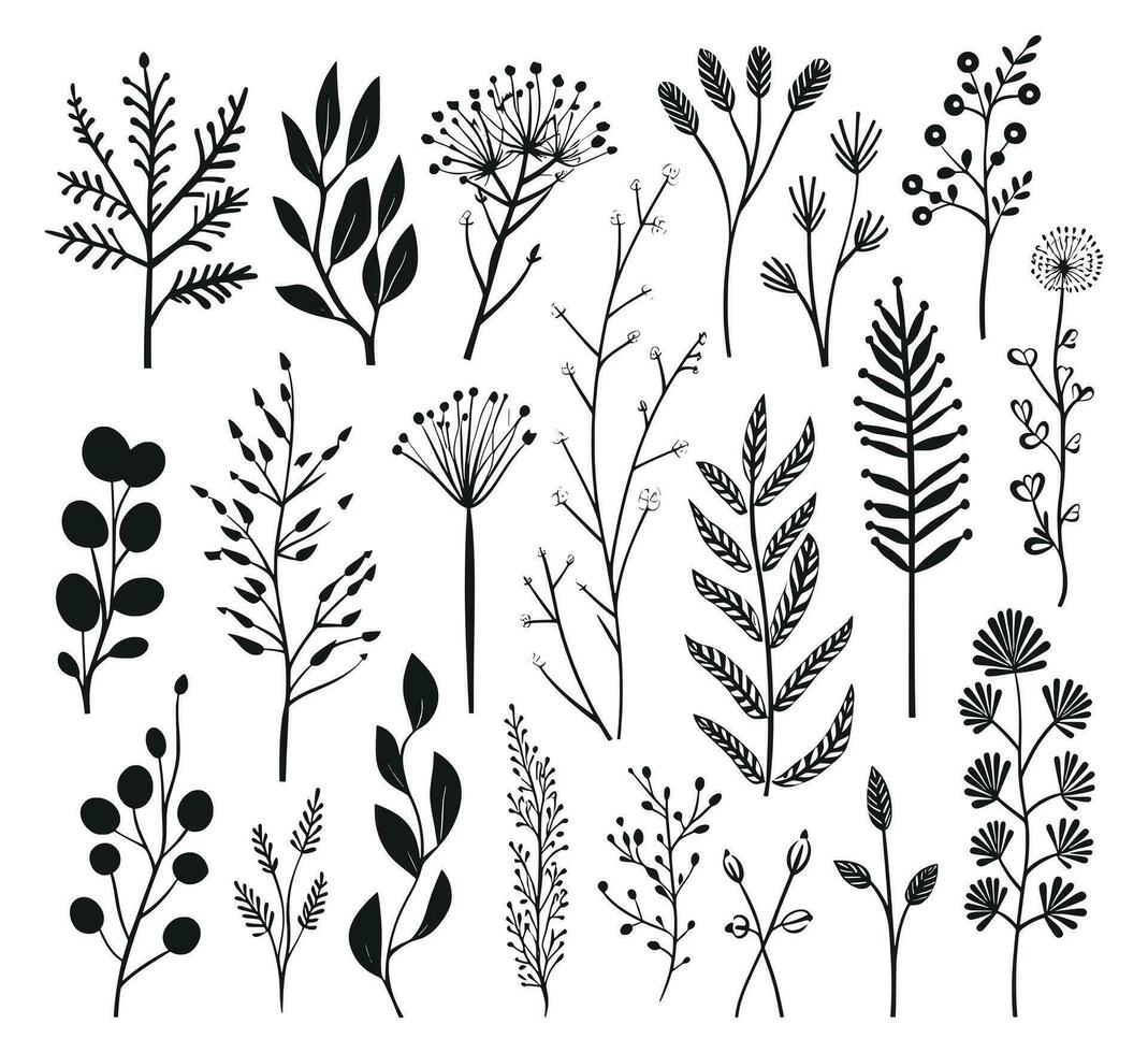 beautiful flowers leaves and twigs vector