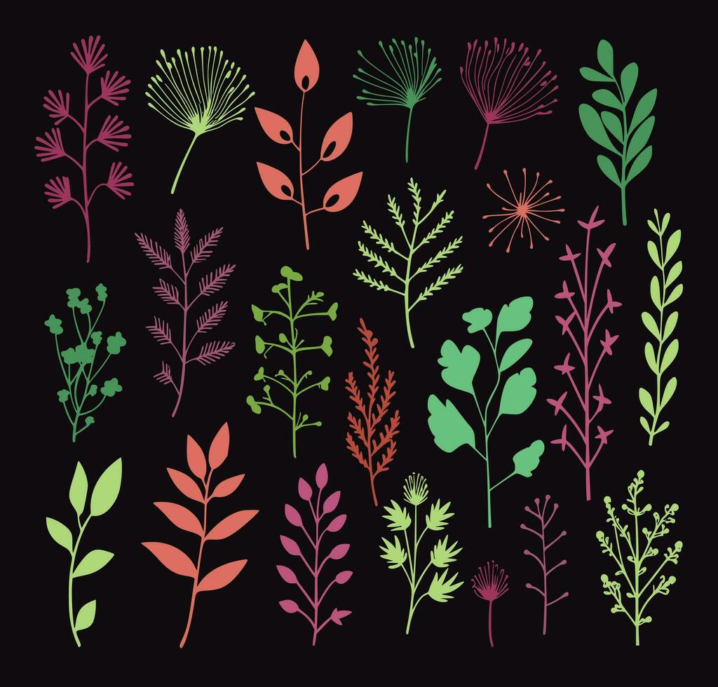beautiful flowers leaves and twigs vector