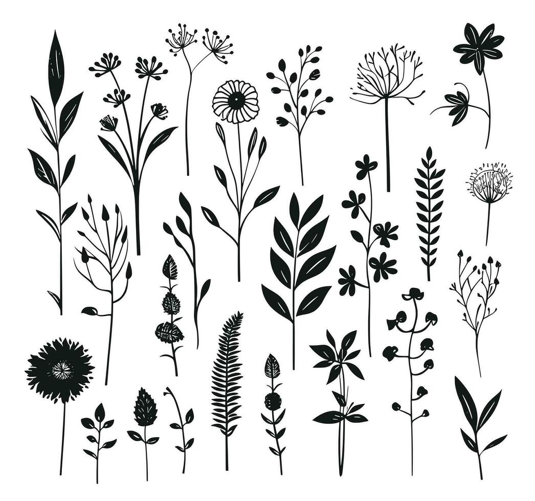 beautiful flowers leaves and twigs vector