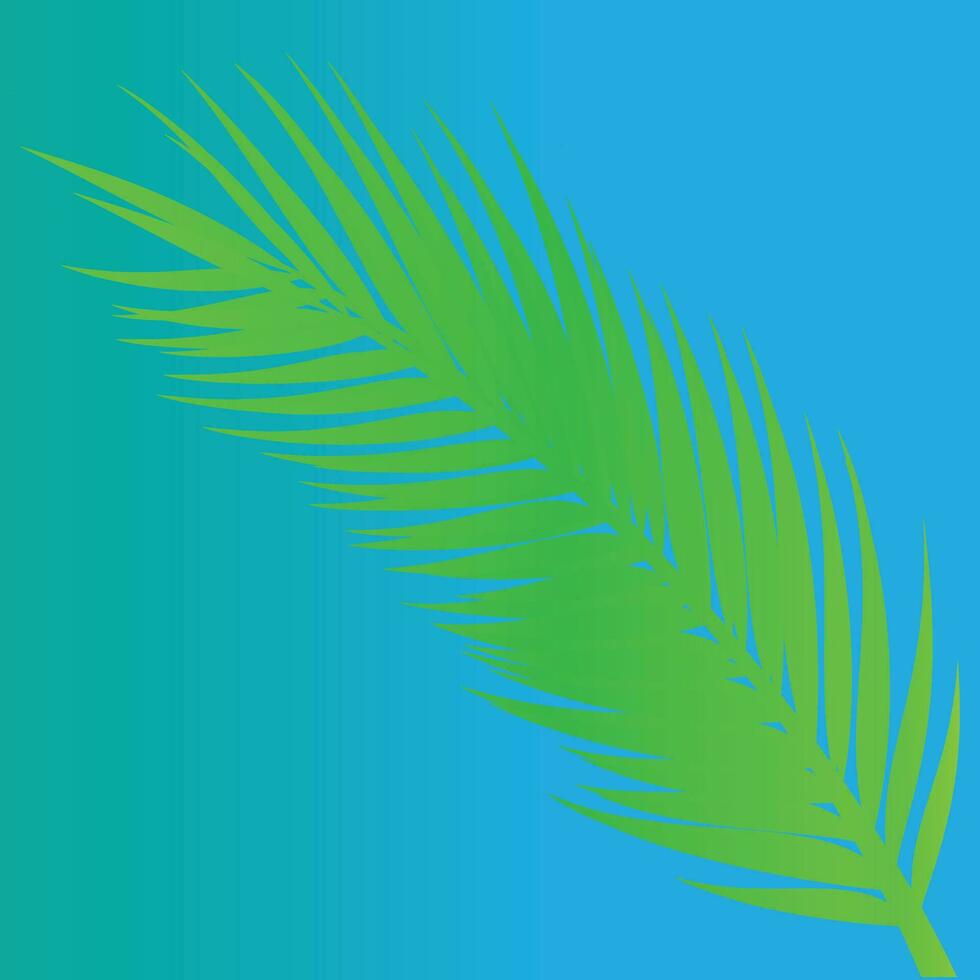 Green palm leaf on a blue background. Vector illustration for your design