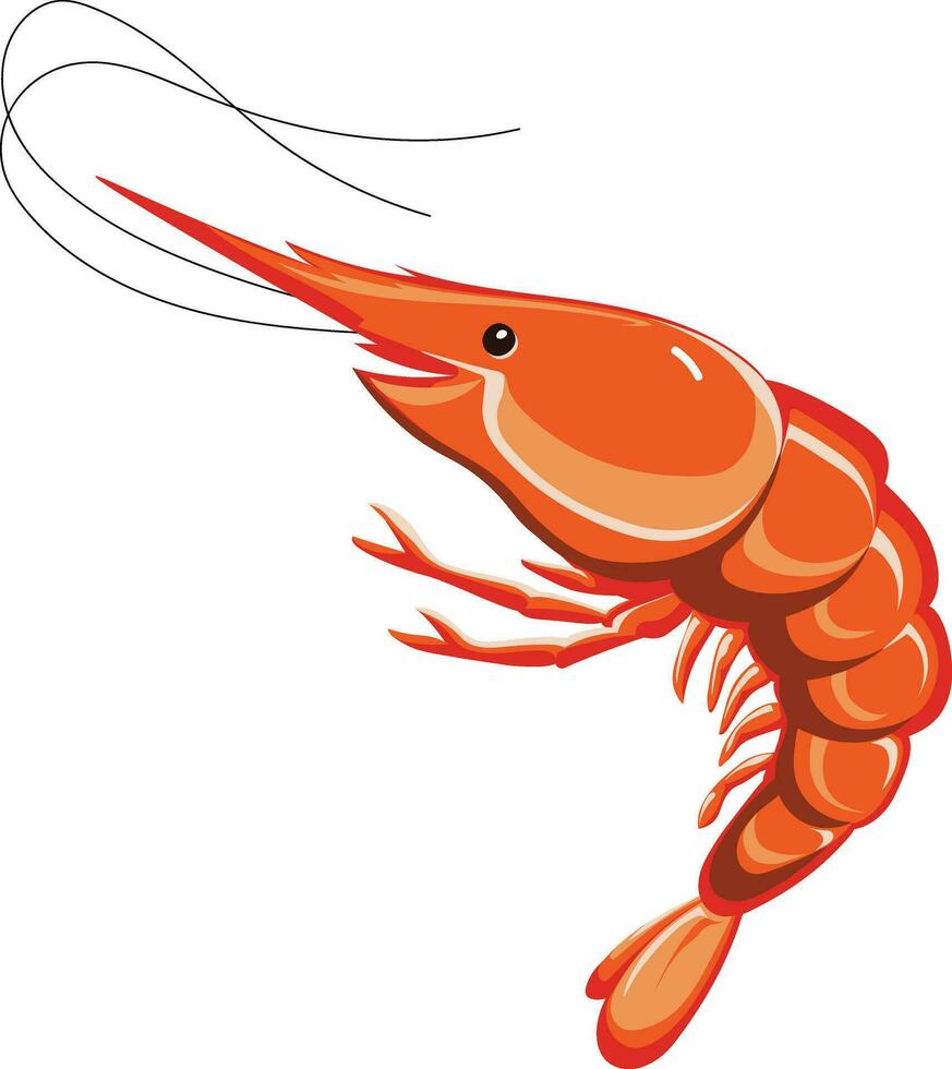 Shrimp. Digital art painting to file eps10. vector