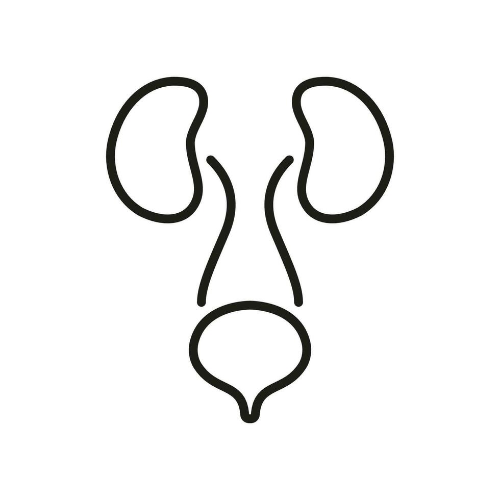 Human Urinary System Line Icon. Urology Disease Outline Icon. Anatomical Healthy Internal Organs. Health Bladder and Kidney Linear Pictogram. Editable Stroke. Isolated Vector Illustration.