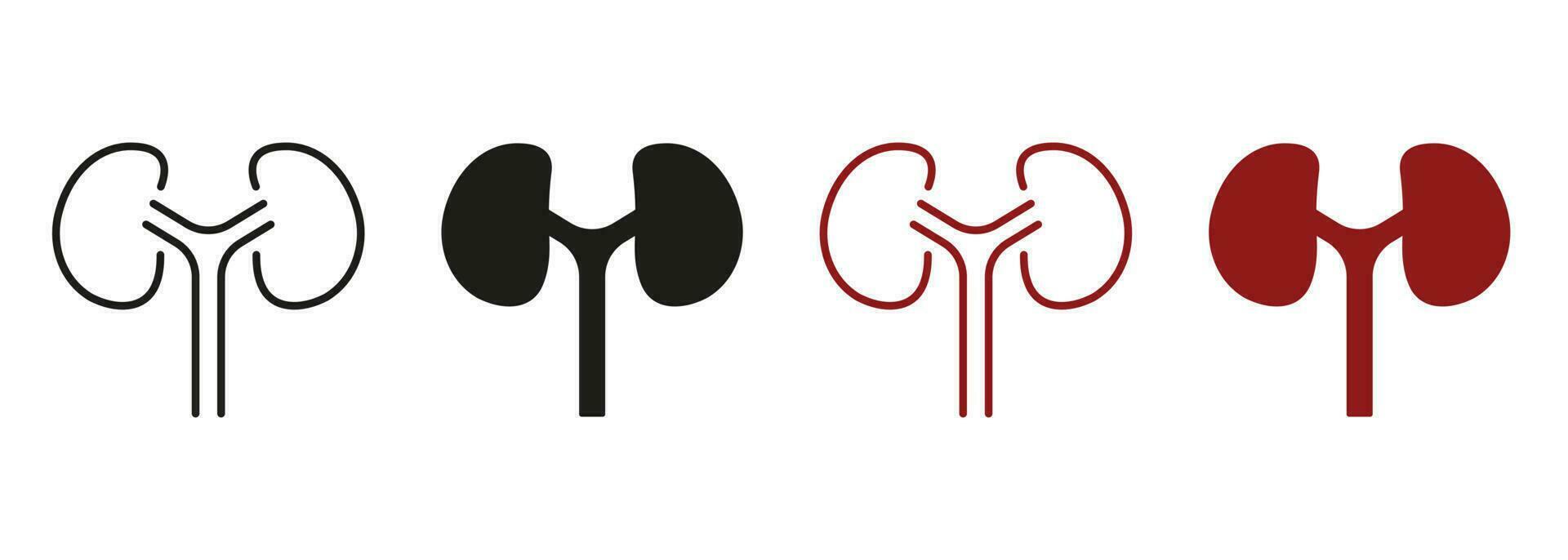 Human Kidney Line and Silhouette Color Icon Set. Anatomy of Renal Organ Pictogram. Kidneys Urology Disease, Dialysis Medical Treatment Symbol Collection. Isolated Vector Illustration.