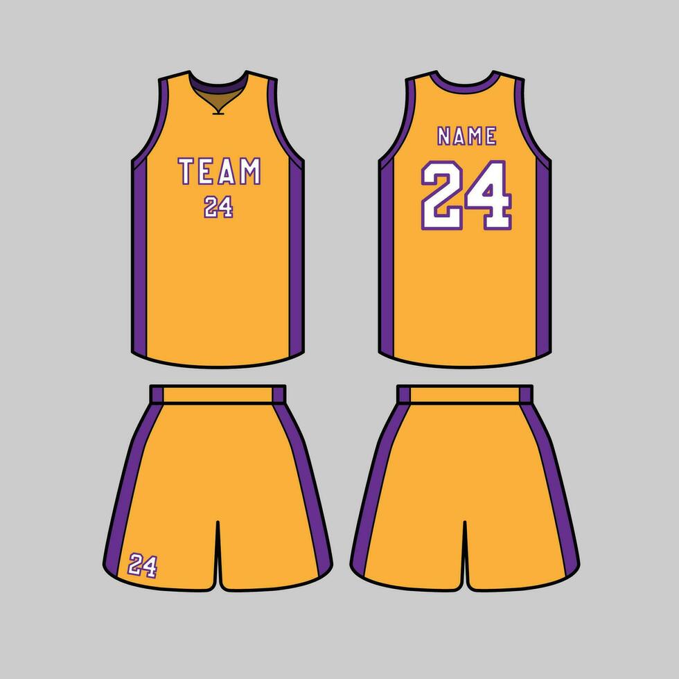 The Illustration of Basketball Kit vector