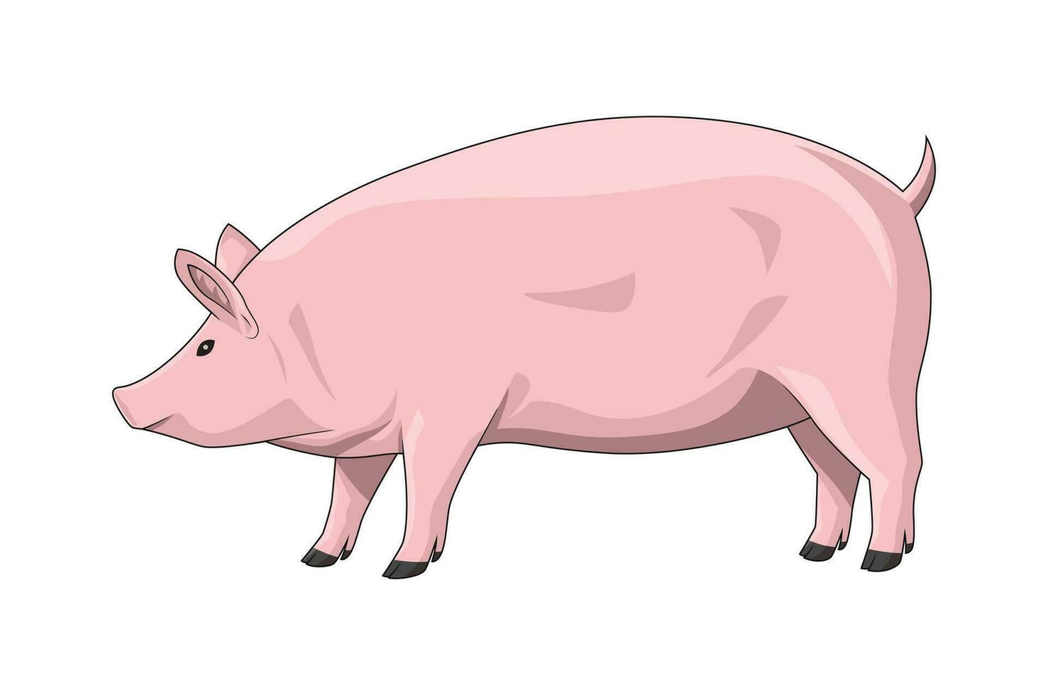 grande grasa cerdo. vector ilustración, aislado en blanco fondo, lado vista, animal dibujos animados