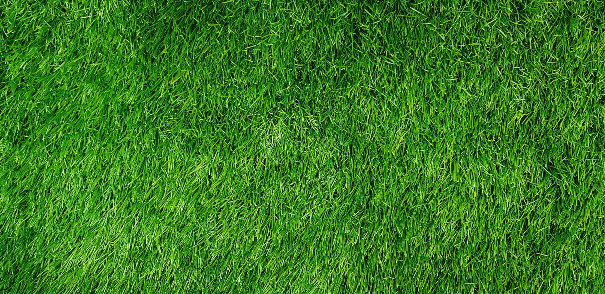 Green grass field for background, Land, lawn, Surface, Natural wallpaper and Playing sport game area concept photo