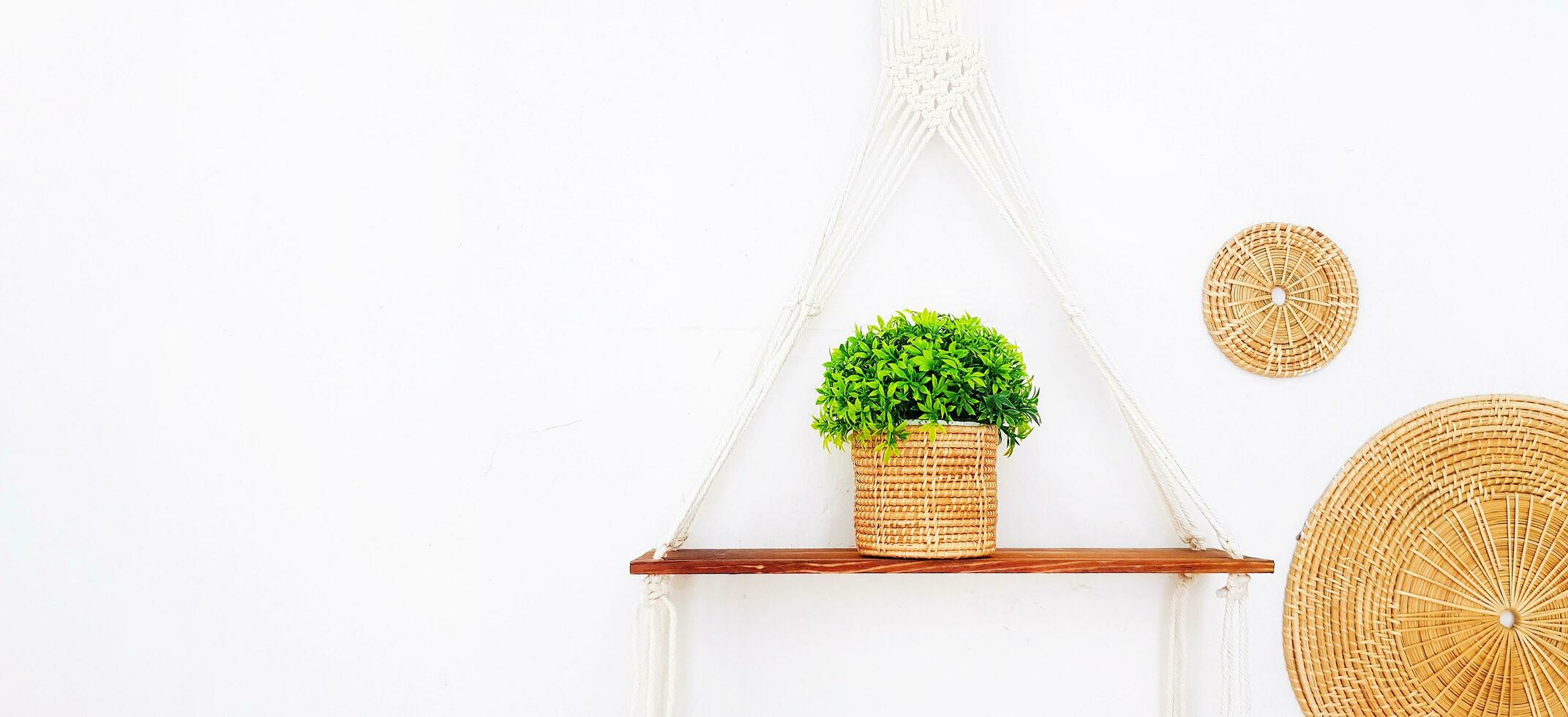 verde plantas en cesta en de madera y colgando en pared con redondo tejido modelo decorado en blanco pared. ornamental en maceta y objeto para decoración habitación, hogar o casa y lugar. interior diseño foto