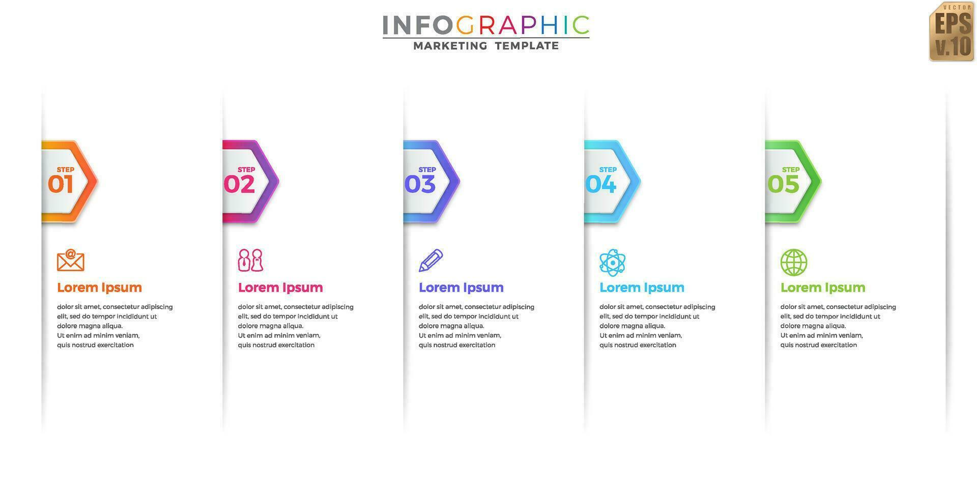 Infographic colorful template business design hexagon icons vector. 5 options or steps isolated in minimal style. You can used for Marketing process, workflow presentations layout, flow chart. vector