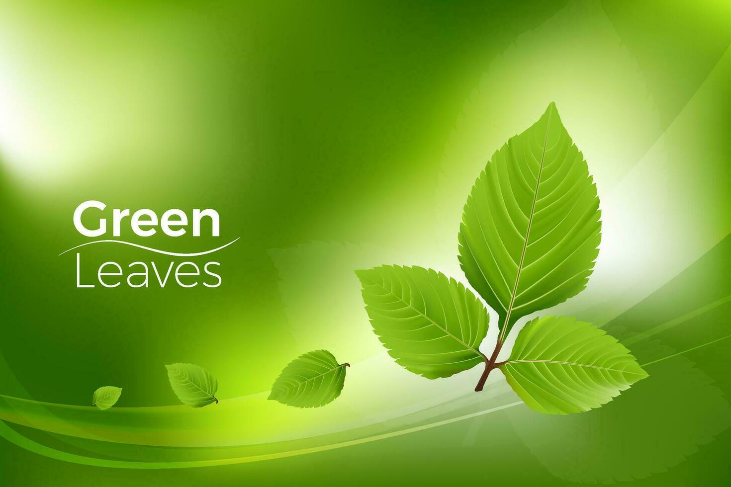 3D Green leaves realistic vector on green luxury background gradient mesh, Minimal scene for products showcase, Promotion display, eco environment. You can used for Marketing promotion, print ad.