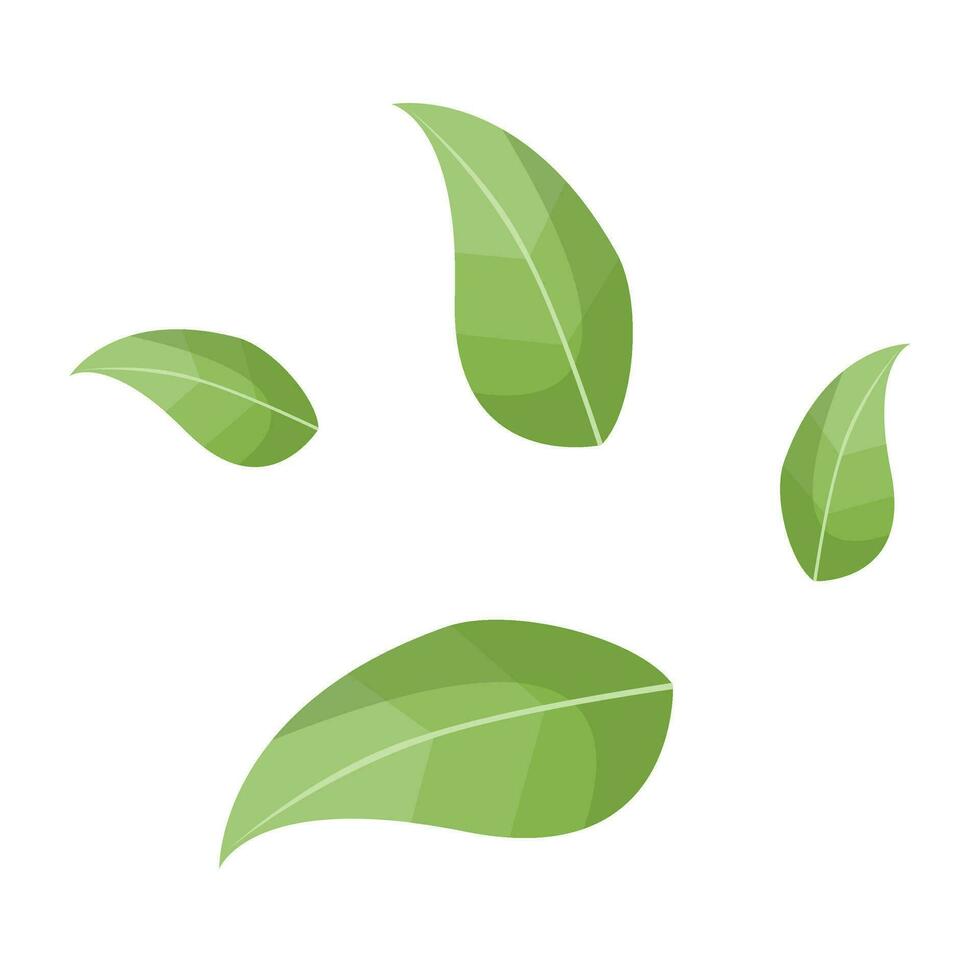 leaf Vector design