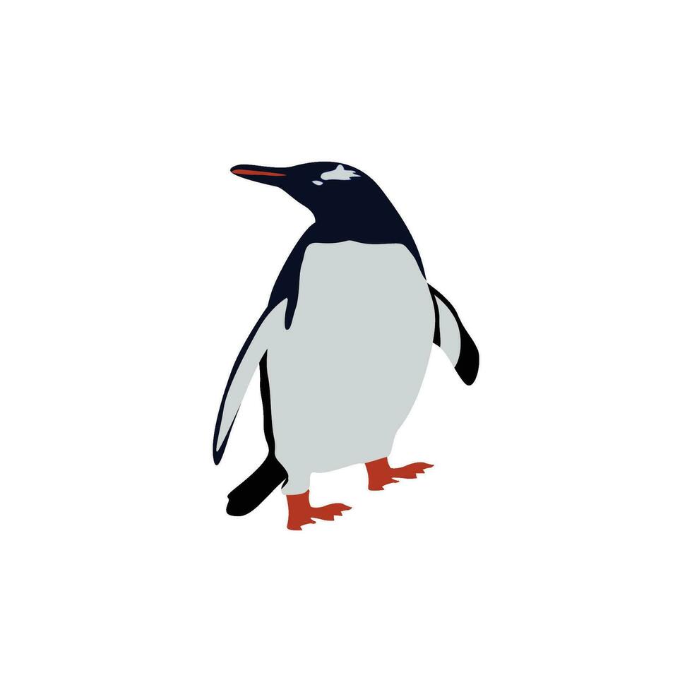 pingüino gráfico vector