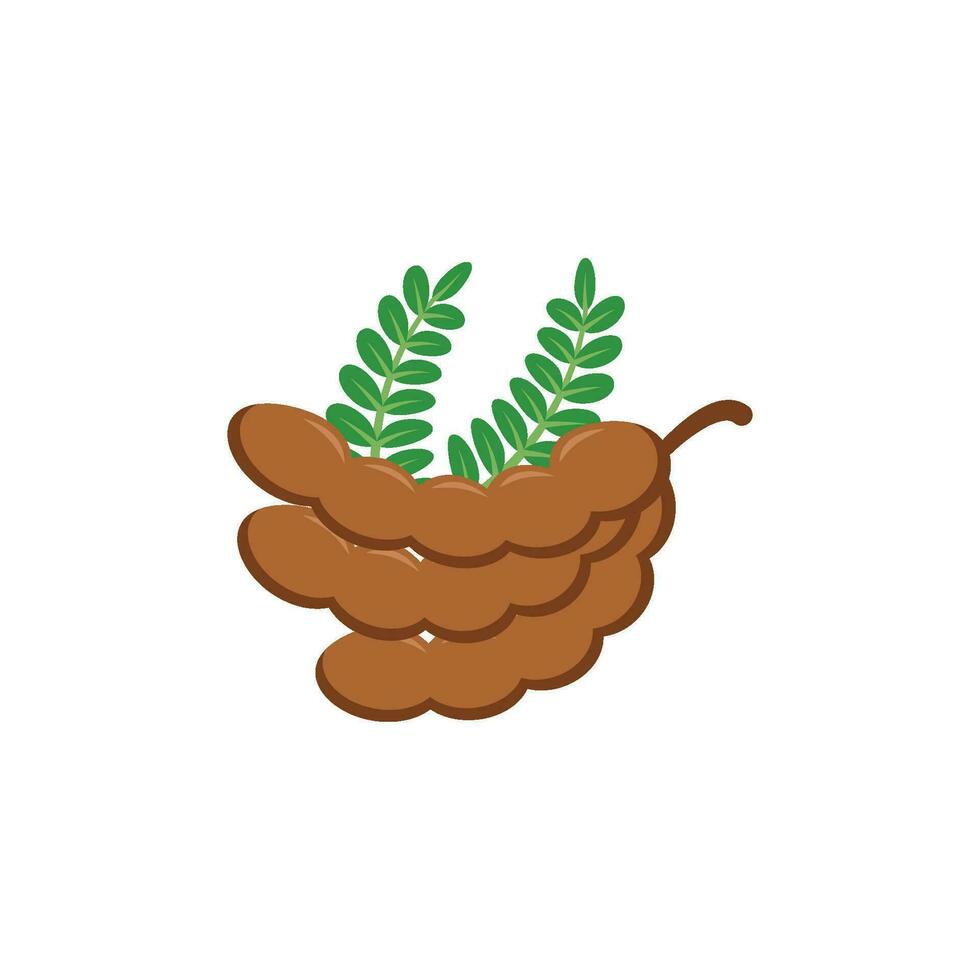 tamarind graphic vector