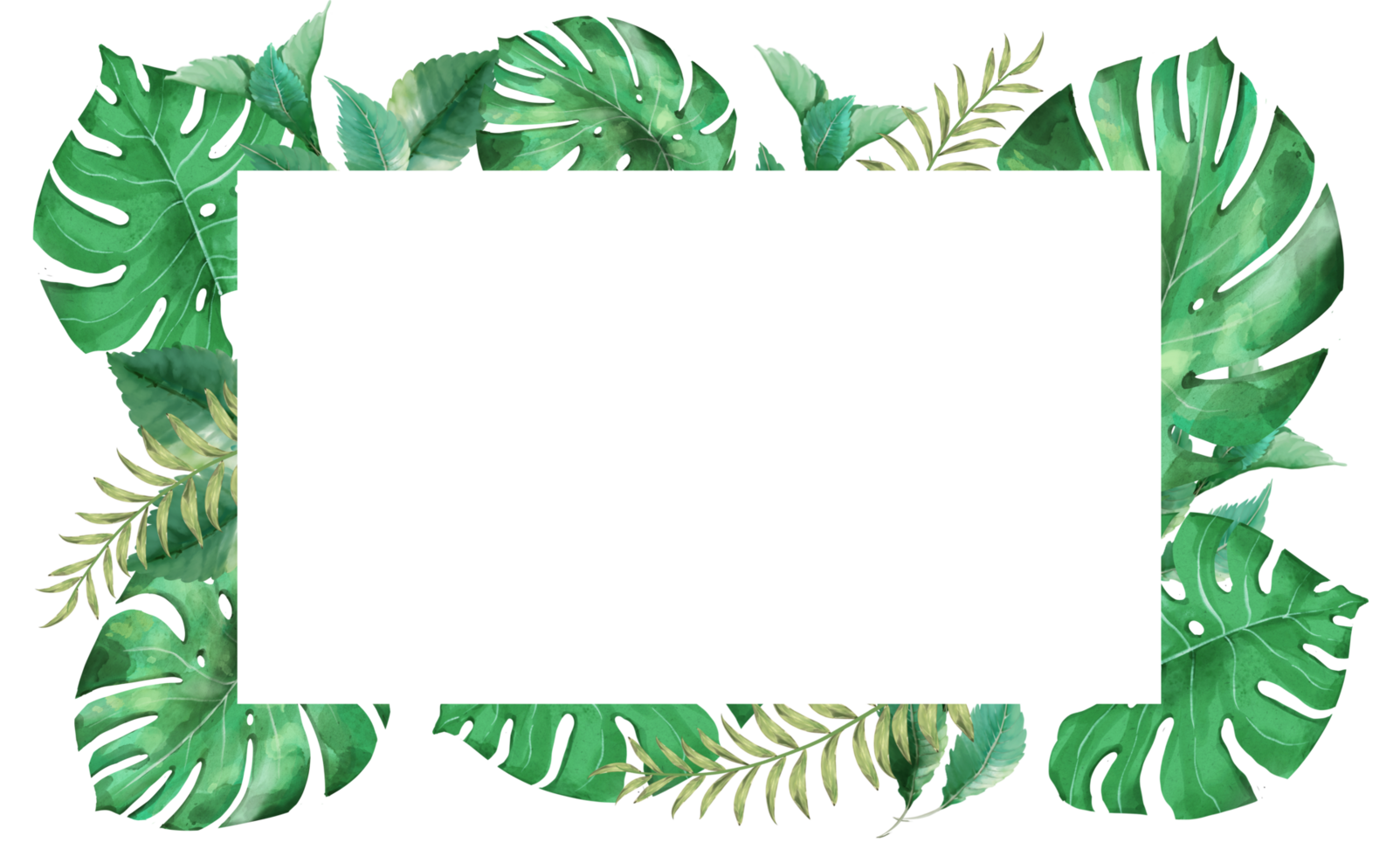 monstera leaves frame in watercolor png