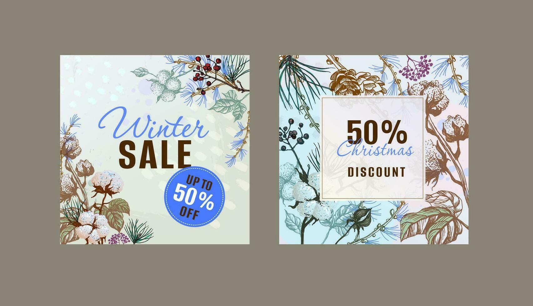 Set of winter sale stories banner templates. Winter snow design for new stories and promo posts. Winter design with winter plants. vector