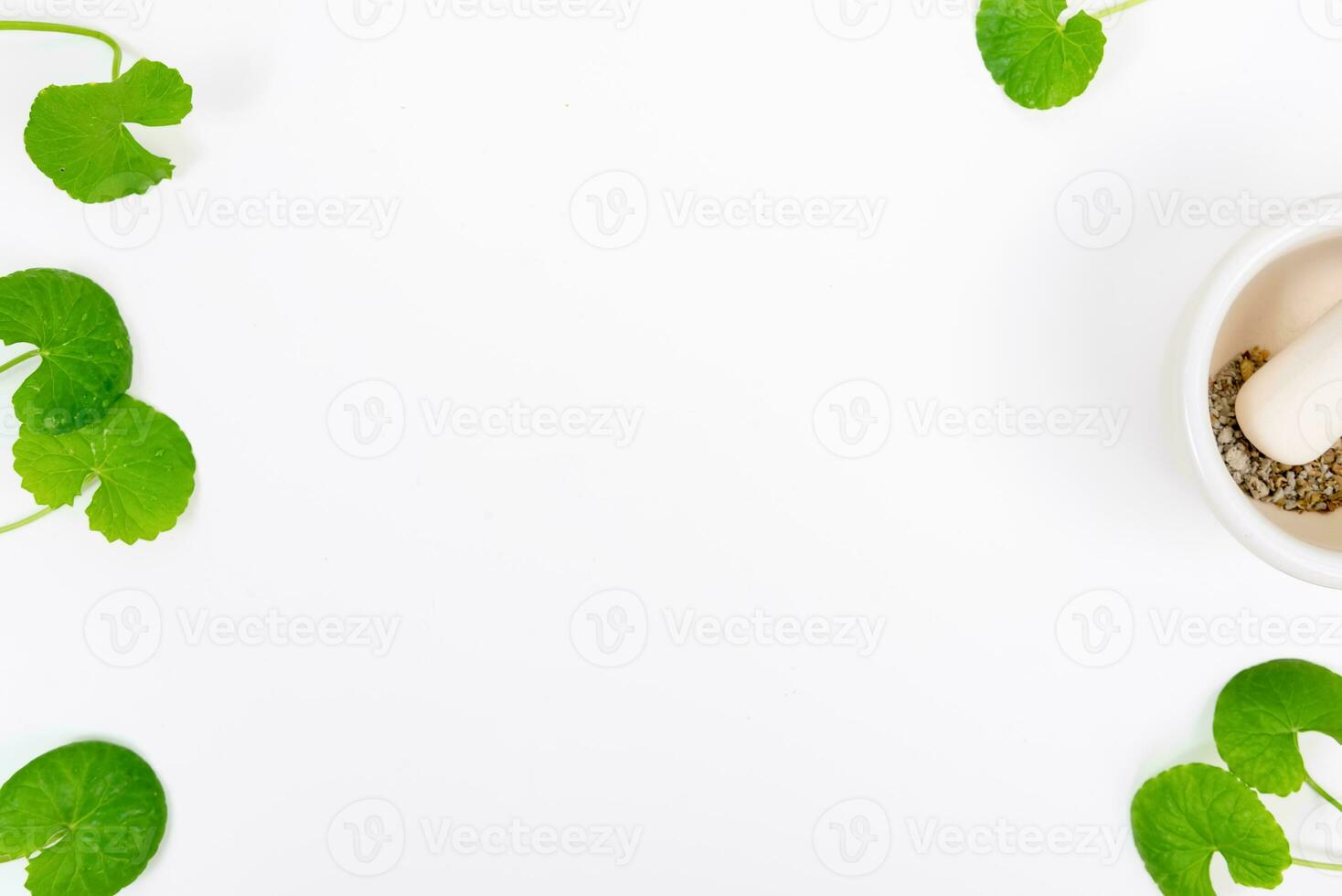 Top view on table centella asiatica leaves with isolated on white background photo